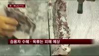 한·캐나다 FTA 타결…자동차 수혜·육류는 피해 예상