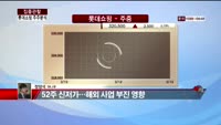 [집중관찰] 롯데쇼핑 주주분석 (4) - 정영석 기자