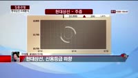 [집중관찰] 현대상선 (5) 미래분석 - 이성웅 동양증권 연구원