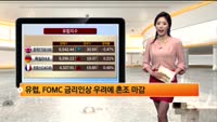 [해외 시황] 조기금리 인상 단행 우려 딛고 뉴욕 상승 마감