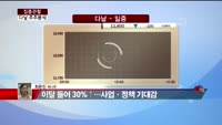[집중관찰] 다날 주주분석 (4) - 최은진 기자