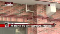 [집중관찰] 삼천리 주주분석 (4) - 장남식 기자