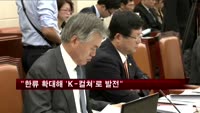현오석 "한류 확대해 'K-컬쳐'로 발전시켜야"