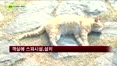 [펜시안] 강화도 하늘샘물펜션