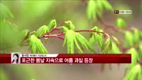 [날씨와경영] 남부 일부지역을 제외한 전국에 비