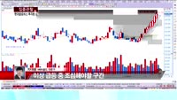 [집중관찰] 현대글로비스 (6) 투자분석 - 차대웅 MBN골드 전문가