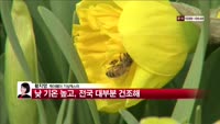 [날씨와경영] 맑고 포근하나 서해안 중심 안개 짙어