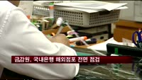 금감원, 국내은행 해외점포 전면 점검