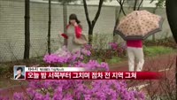 [날씨와경영] 낮부터 전국 대부분 '봄비' 내려