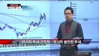 [집중관찰] 포스코 (1) 기본+기술적 분석 - 최하영 MBN 골드 전문가