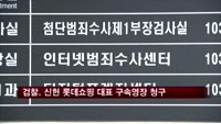 검찰, 신헌 롯데쇼핑 대표 구속영장 청구