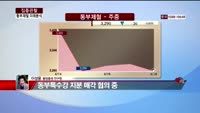 [집중관찰] 동부제철 (6) 미래분석 - 이성웅 동양증권 연구원