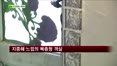 [펜시안] 강화 그림 속 바다 펜션