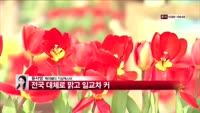 [날씨와경영] 전국 대체로 맑지만 큰 일교차 보여