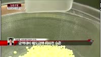 [집중관찰] 차바이오앤 (2) 이슈분석 - 임승현 비엔지증권 영업부 연구원
