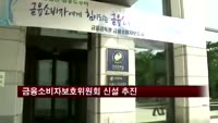 금융소비자보호위원회 신설 추진