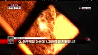 [집중관찰] 동부제철 (4) 주주분석 - 정영석 기자