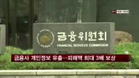 금융사 개인정보 유출…피해액 최대 3배 보상