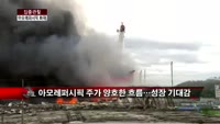 [집중관찰] 아모레퍼시픽 (3) CEO분석 - 최은진 기자