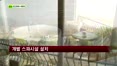 [펜시안] 강화도 써니빌펜션