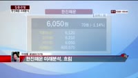[집중관찰] 한진해운 (6) 미래분석 - 이성웅 동양증권 연구원