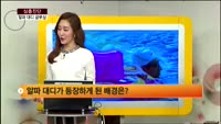 [심층진단] 육아 시장 큰 손 '알파 대디
