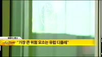 [해외 소식]  “가장 큰 위험 요소는 유럽 디플레”