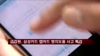 금감원, 삼성카드 앱카드 명의도용 사고 특검