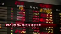 KDB생명 인수 예비입찰 흥행 저조