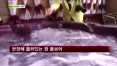 [펜시안] 별빛연가 펜션