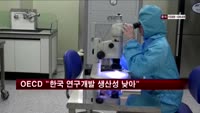 OECD "한국 연구개발 생산성 낮아"