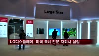LG디스플레이, 미국 특허 전문 자회사 설립