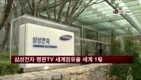 삼성전자 평판TV 세계점유율 세계 1위