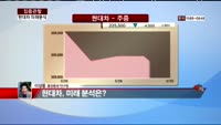 [집중관찰] 현대차 (6) 미래분석 - 이성웅 동양증권 연구원