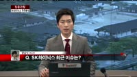 [집중관찰] SK하이닉스 (4) 주주분석 - 장남식 기자