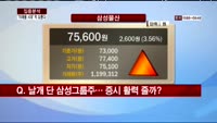 [집중분석] 삼성 지배구조 개편 가속화
