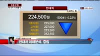 [집중관찰] 현대차 (6) 미래분석 - 이성웅 동양증권 연구원