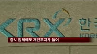 증시 침체에도 개인투자자 늘어