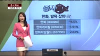 [증시특보]이라크 사태 직격탄…'신저가' 한화, 대응전략은?