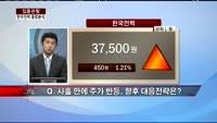 [집중관찰] 한국전력 (8) 종합분석 - 김근호 메리츠종금증권 연구원·전희승 토러스투자증권 연구원