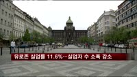 유로존 실업률 11.6%…실업자 수 소폭 감소