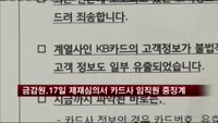 금감원, 17일 제재심의서 카드사 임직원 중징계