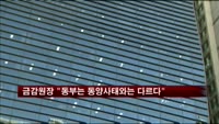 금감원장 "동부는 동양사태와는 다르다"