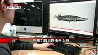 [집중관찰] 컴투스 (1) 기본+기술적 분석 - 최하영 MBN 골드 전문가