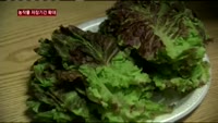 이마트, CA저장기술로 장마철 '수박'가격 잡는다