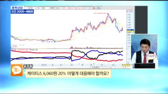 [종목상담] 케이티스(058860)