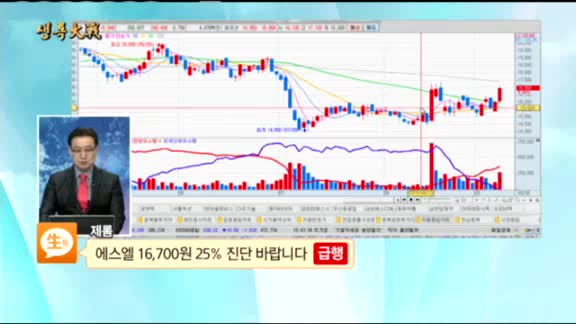 [종목상담] 에스엘(005850)