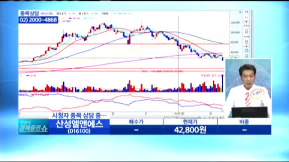 [종목상담] 산성앨엔에스(016100)