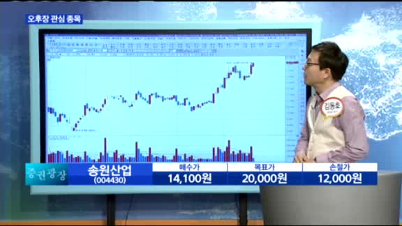 [오후장 공략 종목] 오늘 장 관심주: 송원산업(004430)