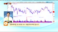 [종목상담] 한화케미칼(009830)